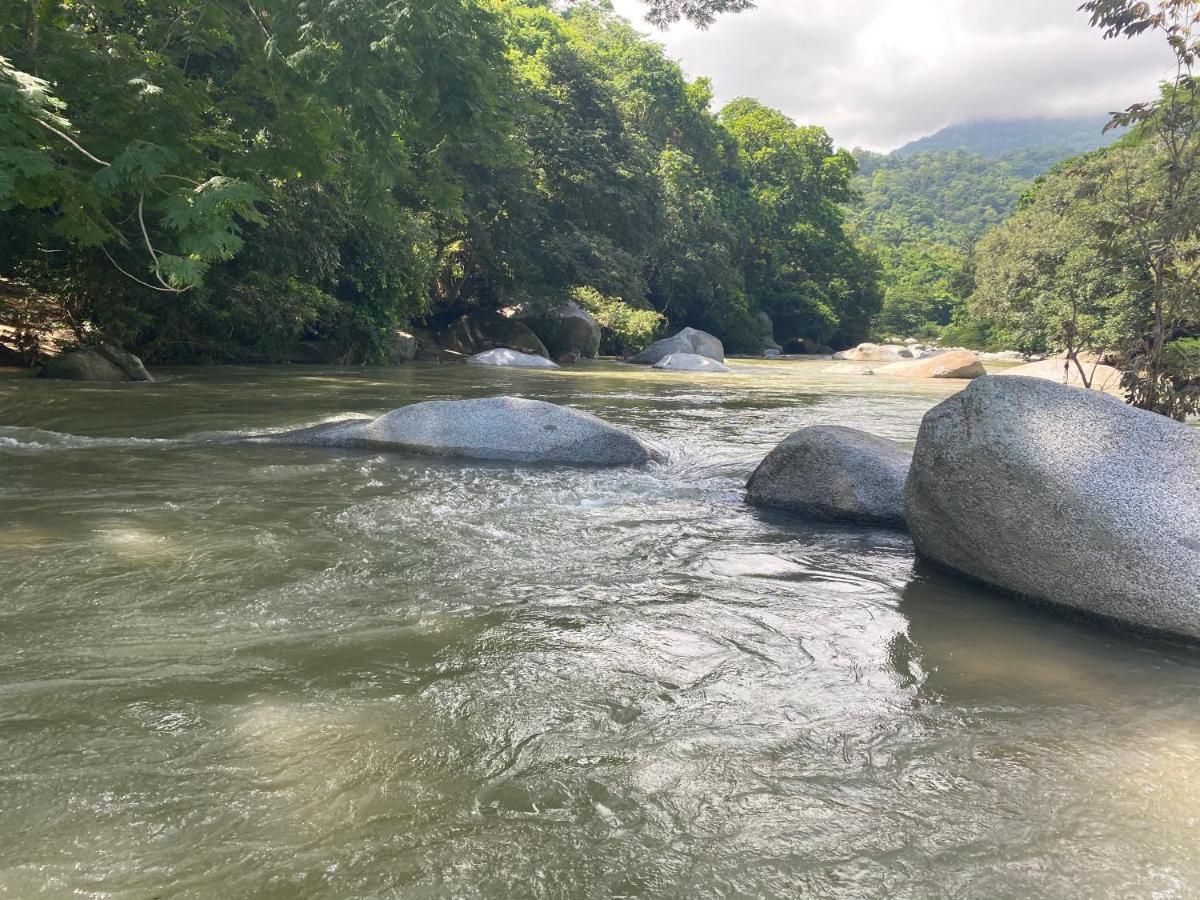 Wayanay Tayrona Eco Hostel El Zaino Eksteriør bilde