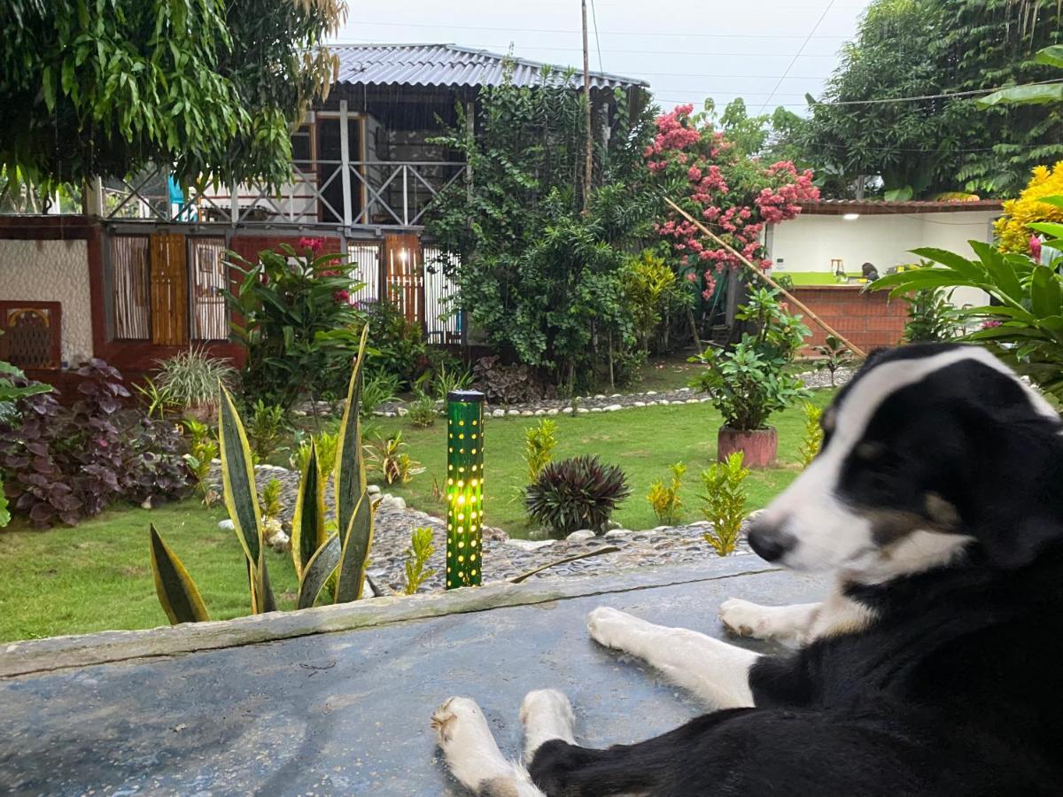 Wayanay Tayrona Eco Hostel El Zaino Eksteriør bilde