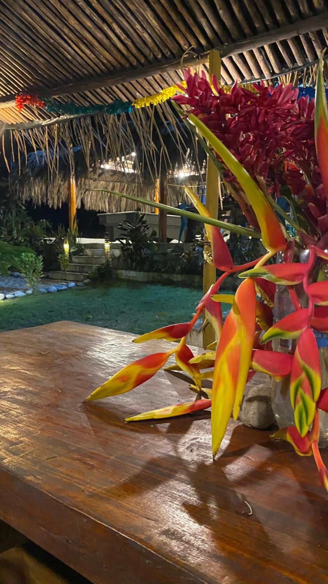 Wayanay Tayrona Eco Hostel El Zaino Eksteriør bilde