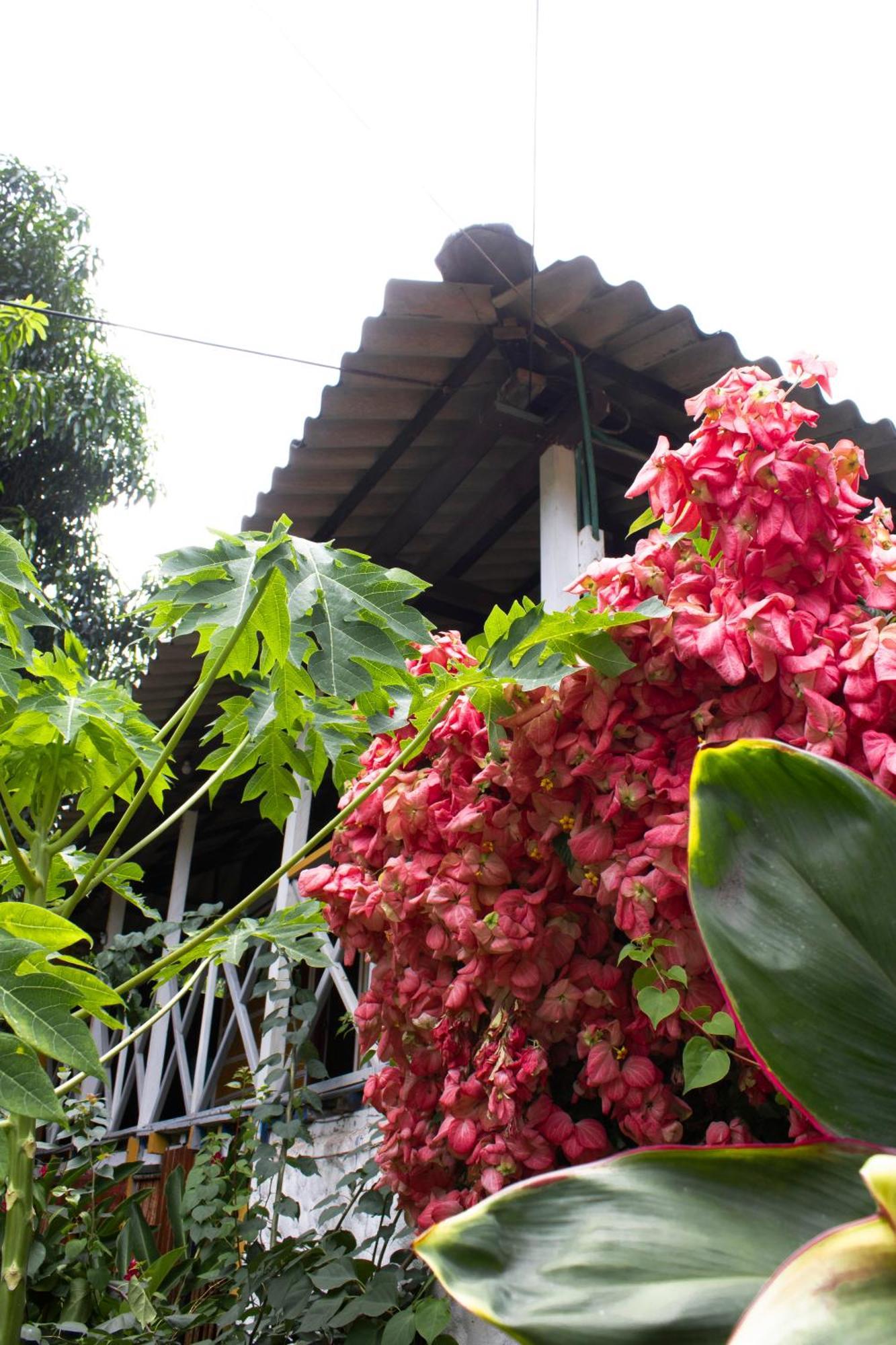 Wayanay Tayrona Eco Hostel El Zaino Eksteriør bilde