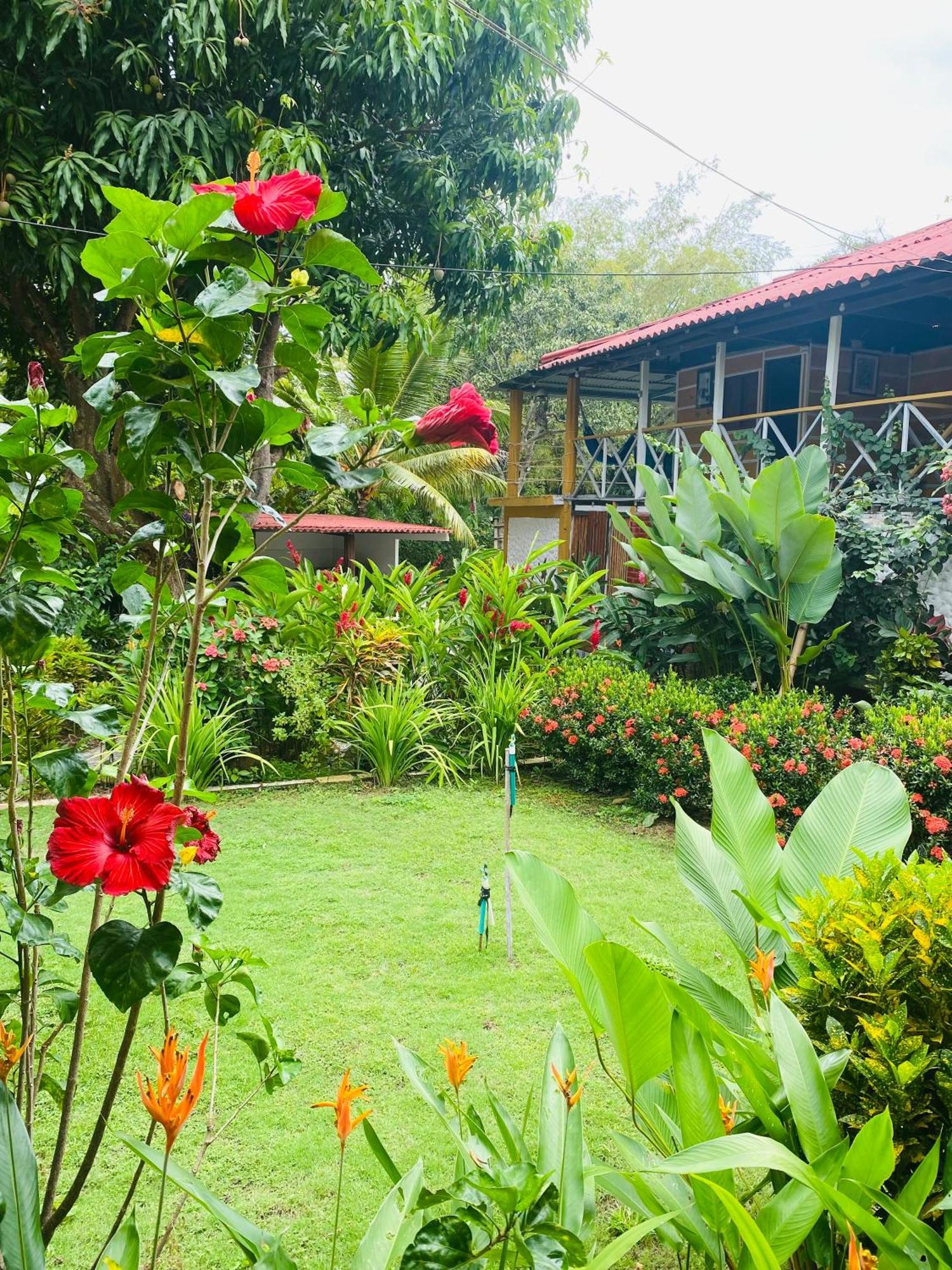 Wayanay Tayrona Eco Hostel El Zaino Eksteriør bilde