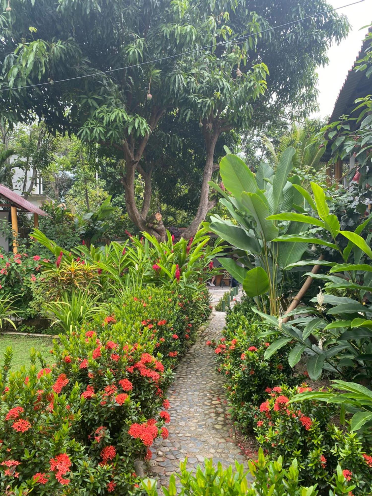 Wayanay Tayrona Eco Hostel El Zaino Eksteriør bilde
