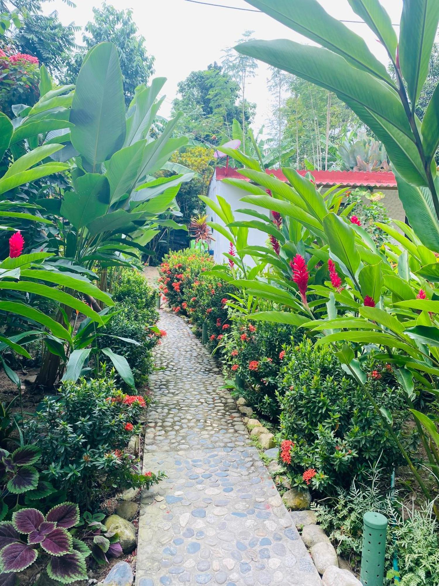 Wayanay Tayrona Eco Hostel El Zaino Eksteriør bilde